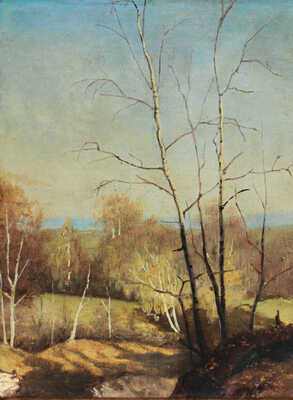 Каменев Лев Львович. Березки, освещенные солнцем. Этюд 